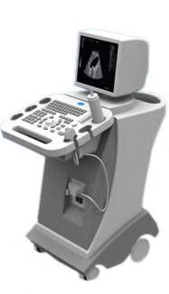 sono-ecomed-premium-color-doppler-system-vertu-3-plus-video-printer